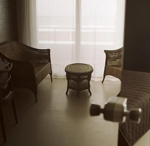 卡利娜旅馆 3* 比亚里茨