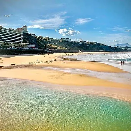 Carlina Biarritz